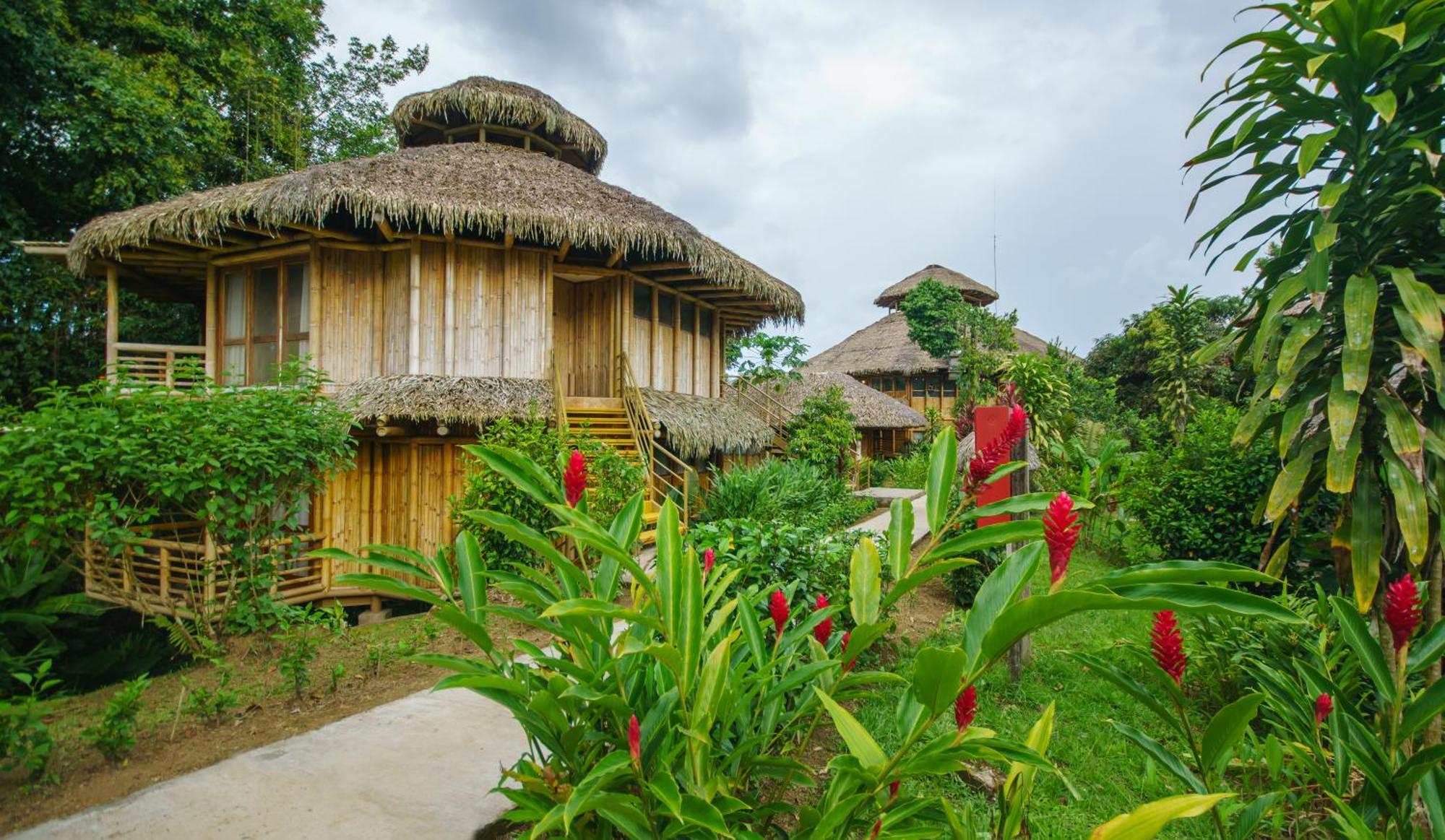 Providencia La Selva Eco-Lodge & Retreat מראה חיצוני תמונה