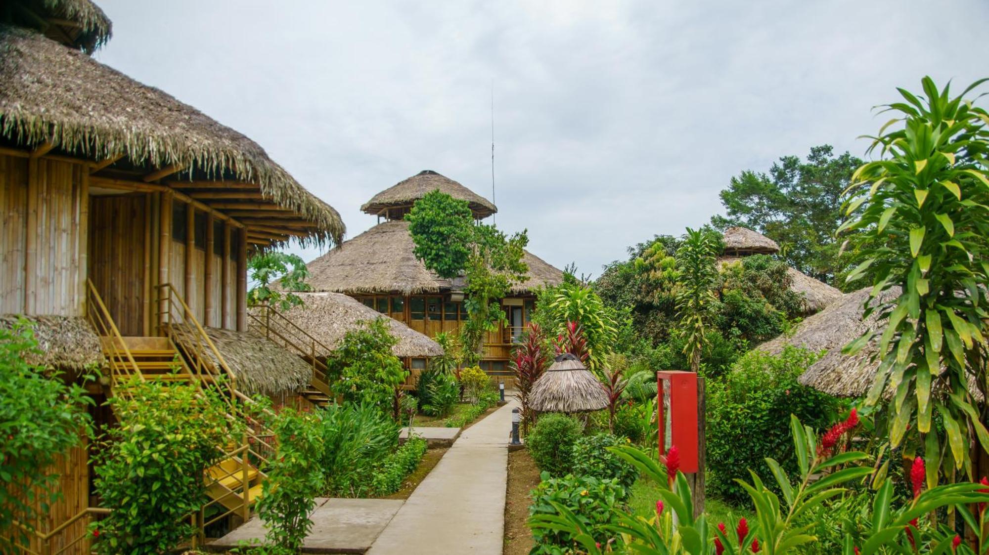 Providencia La Selva Eco-Lodge & Retreat מראה חיצוני תמונה