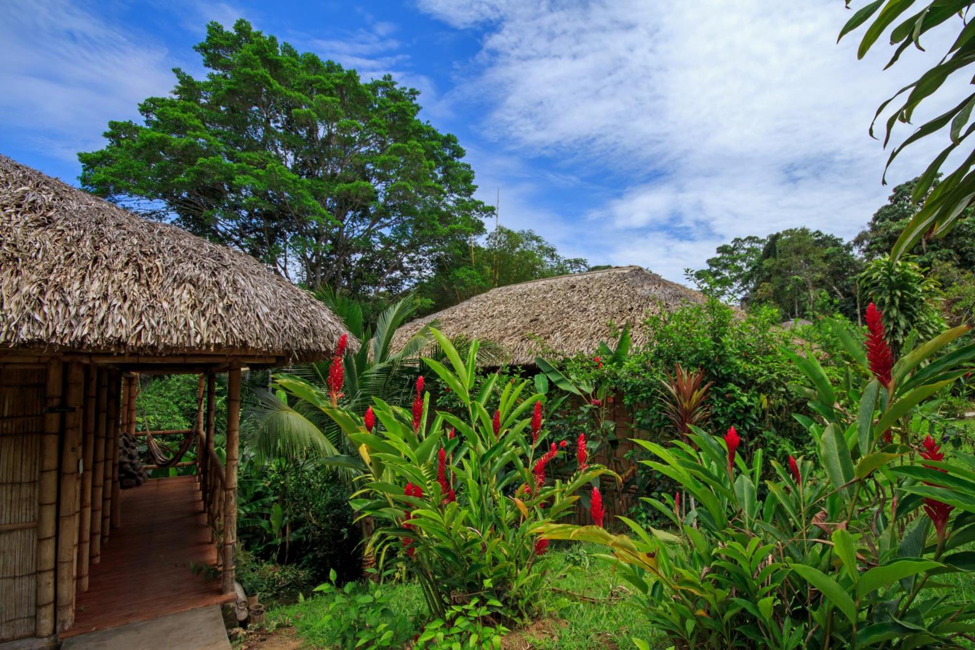 Providencia La Selva Eco-Lodge & Retreat מראה חיצוני תמונה