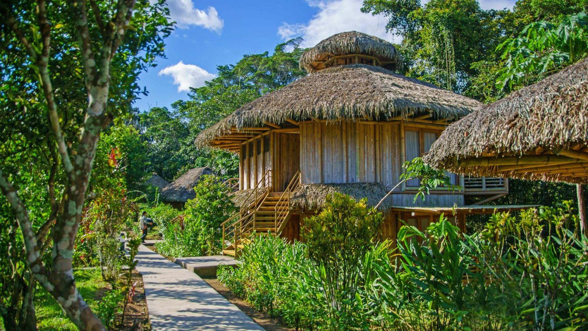Providencia La Selva Eco-Lodge & Retreat מראה חיצוני תמונה