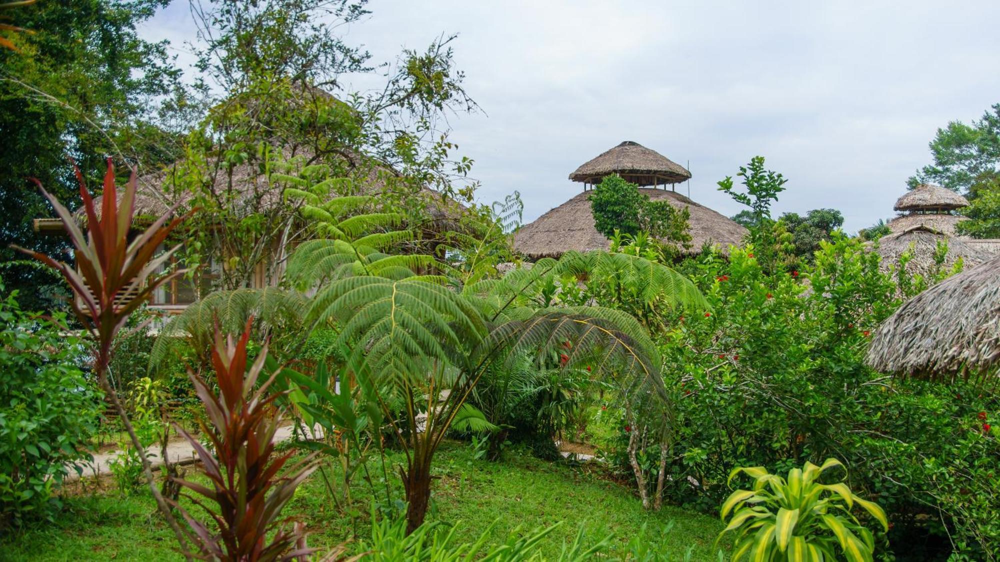 Providencia La Selva Eco-Lodge & Retreat מראה חיצוני תמונה