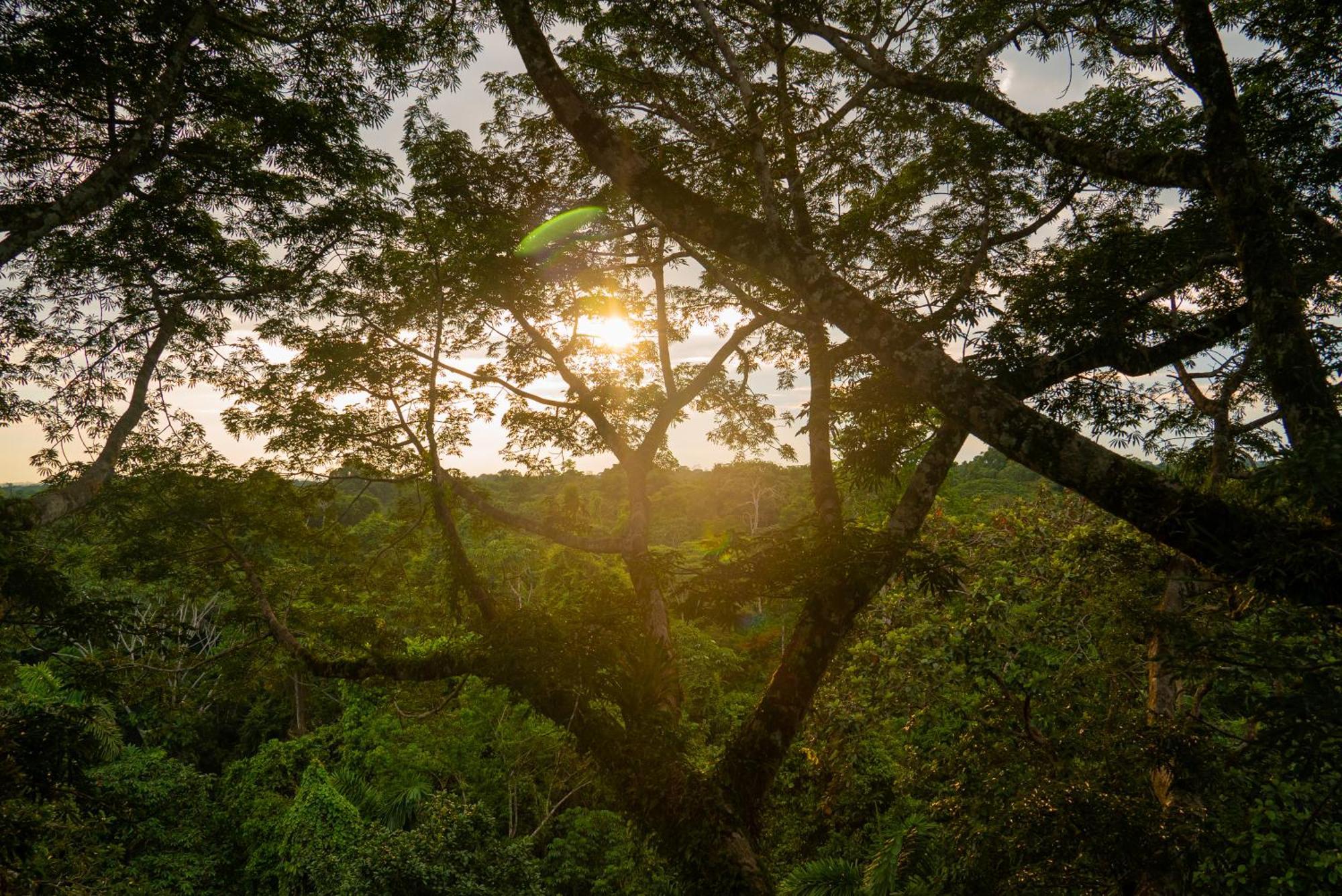 Providencia La Selva Eco-Lodge & Retreat מראה חיצוני תמונה